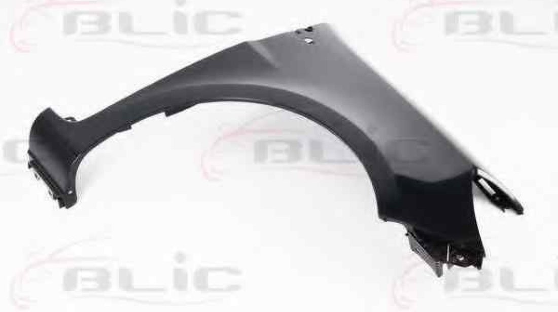 Aripa RENAULT CLIO III BR0/1 CR0/1 Producator BLIC 6504-04-6033312P