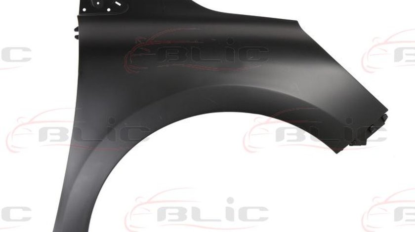 Aripa RENAULT CLIO IV Producator BLIC 6504-04-6034312P