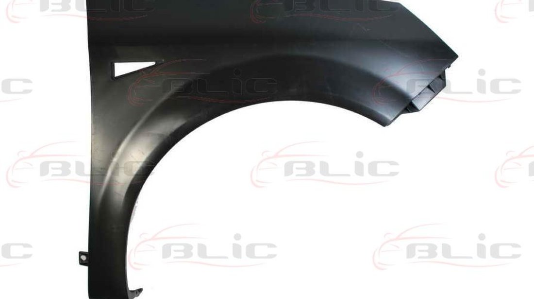 Aripa RENAULT GRAND SCÉNIC II JM0/1 Producator BLIC 6504-04-6042312P