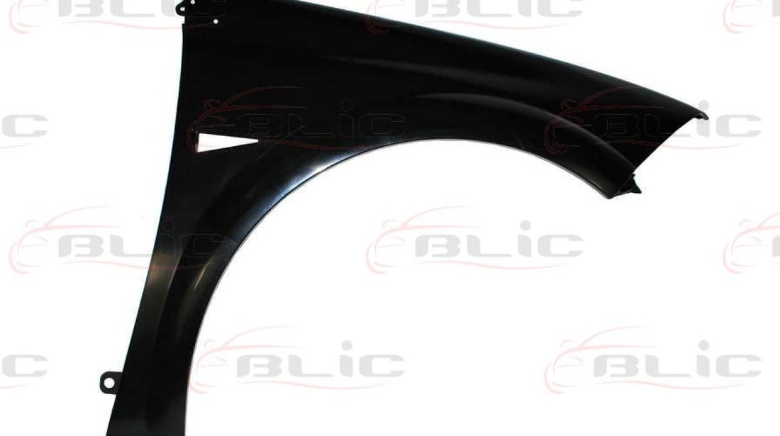 Aripa RENAULT MEGANE II BM0/1 CM0/1 Producator BLIC 6504-04-6041312P