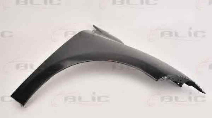 Aripa RENAULT MEGANE III cupe DZ0/1 BLIC 6504-04-6043312P