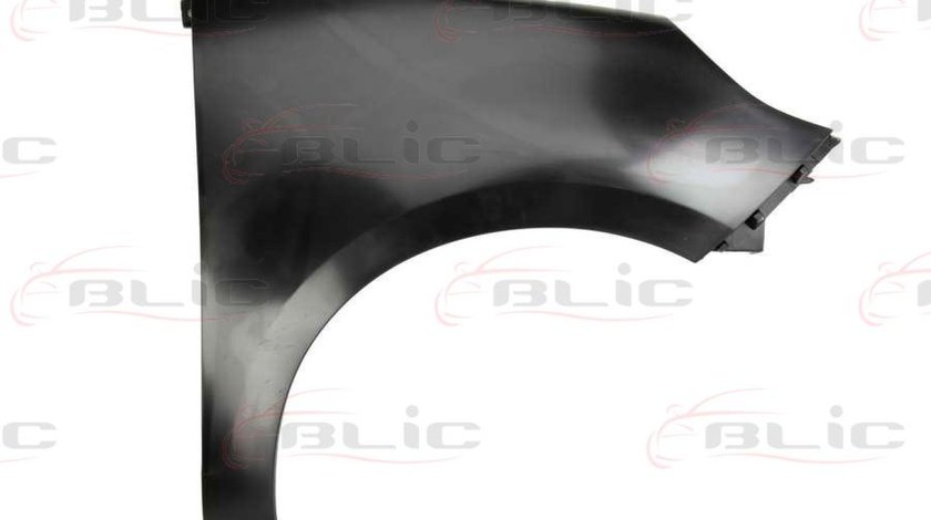 Aripa RENAULT SCÉNIC III JZ0/1 Producator BLIC 6504-04-6042314P