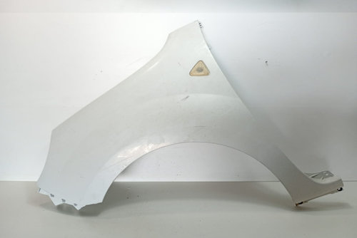 Aripa stanga 631010288R Renault Kangoo 2 [2007 - 2013]