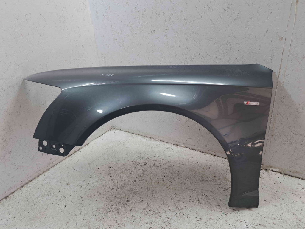 Aripa stanga fata Audi A6 (4F2, C6) facelift [Fabr 2004-2010] LZ7S
