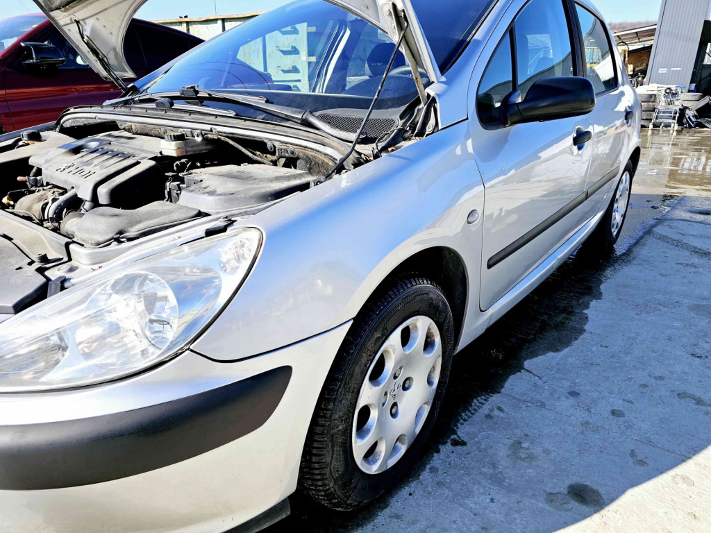 Aripa stanga fata Peugeot 307 [Fabr 2000-2008] EZR