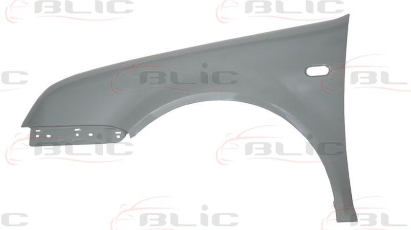 Aripa VW BORA kombi 1J6 Producator BLIC 6504-04-9543311P