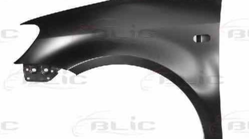 Aripa VW CADDY III combi 2KB 2KJ 2CB 2CJ BLIC 6504-04-9571313P