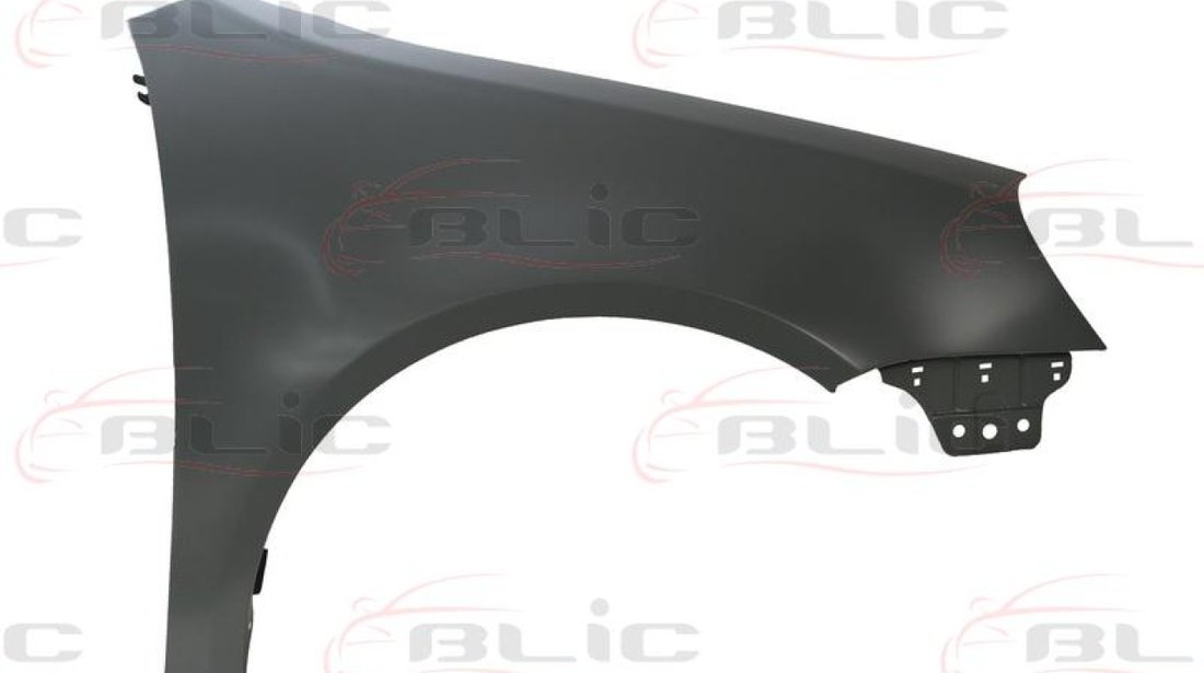 Aripa VW GOLF V 1K1 Producator BLIC 6504-04-9524312P