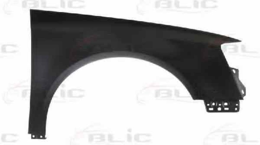 Aripa VW PASSAT Variant 3C5 BLIC 6504-04-9540312P