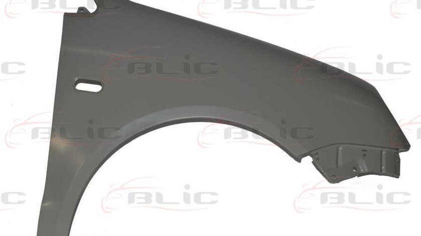 Aripa VW POLO 9N Producator BLIC 6504-04-9506312P