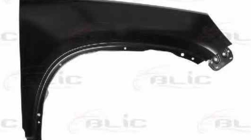 Aripa VW TIGUAN 5N BLIC 6504-04-9548312P