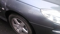 Aripi Fata Peugeot 407