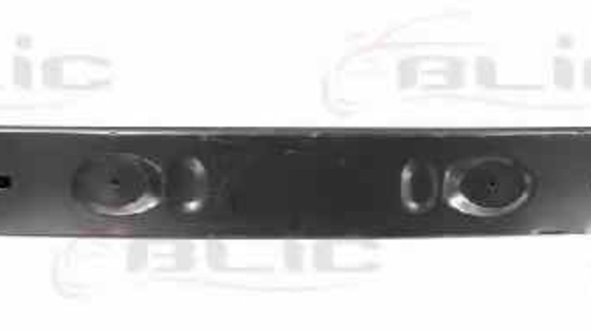 Armatura bara FORD TRANSIT CONNECT P65 P70 P80 BLIC 5502-00-2507940P