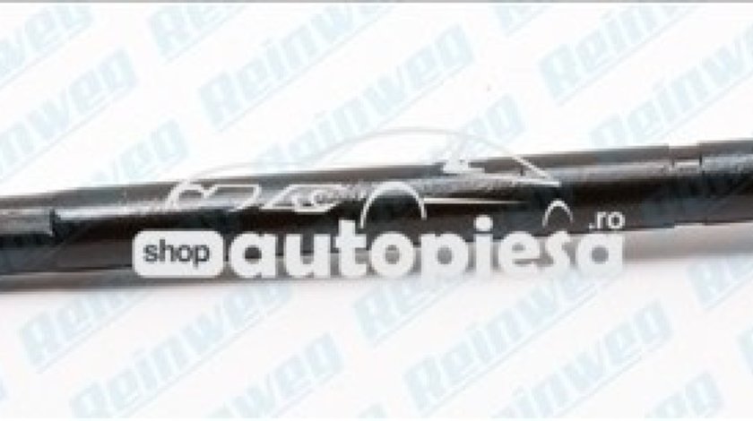 Articulatie axiala, cap de bara PEUGEOT 307 CC (3B) (2003 - 2016) REINWEG RW73941 piesa NOUA