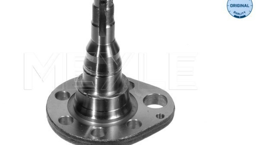 Articulatie directie, suspensie roata Axa spate stanga (1005010037 MEYLE) SEAT,VW