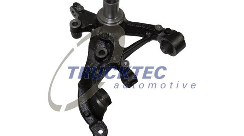 Articulatie directie, suspensie roata Axa spate stanga (0731296 TRU) AUDI,SEAT,SKODA,VW