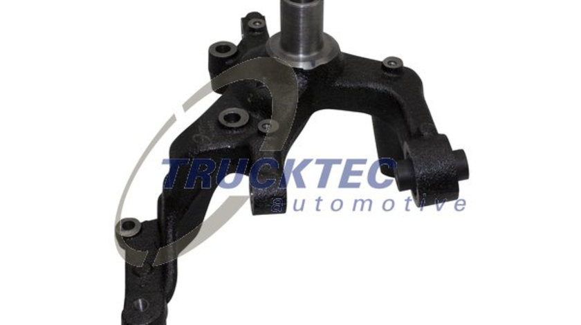 Articulatie directie, suspensie roata Axa spate stanga (0731294 TRU) AUDI,SEAT,SKODA,VW