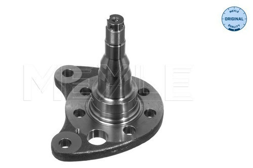 Articulatie directie, suspensie roata Axa spate stanga (1005010012 MEYLE) SEAT,VW