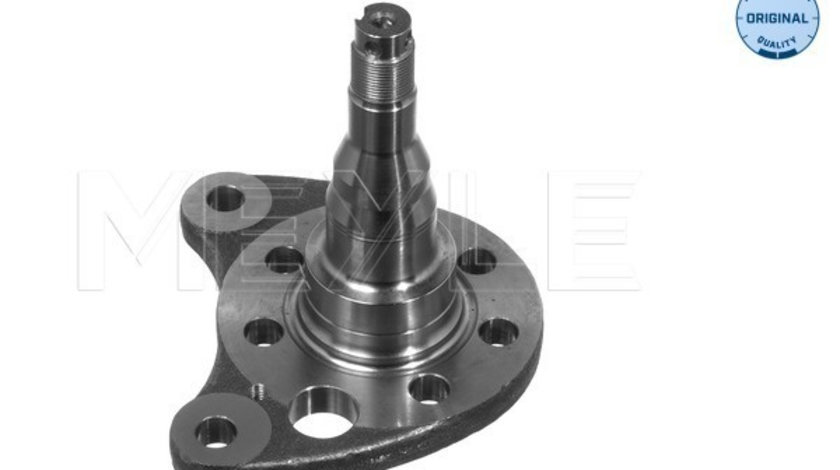 Articulatie directie, suspensie roata Axa spate stanga (1005010012 MEYLE) SEAT,VW