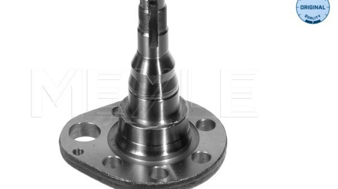 Articulatie directie, suspensie roata Axa spate dreapta (1005010036 MEYLE) SEAT,VW