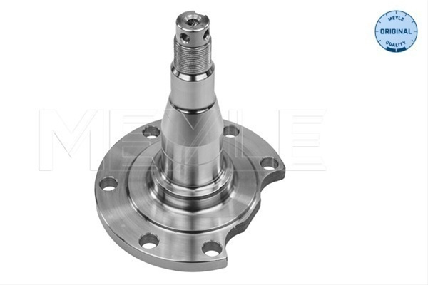 Articulatie Directie, Suspensie Roata Meyle Audi 100 501 0031