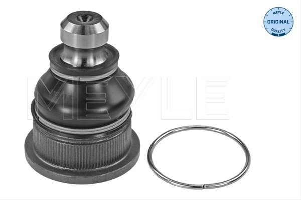 Articulatie Sarcina/ghidare Meyle Renault 16-16 010 0021