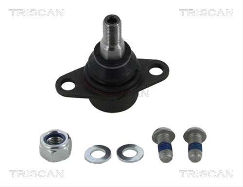Articulatie Sarcina/ghidare Triscan Bmw 8500 115049