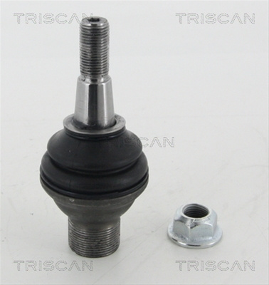 Articulatie Sarcina/ghidare Triscan Bmw 