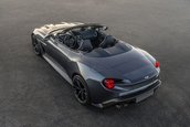 Aston Martin Vanquish Zagato Speedster si Shooting Break