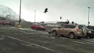 Atentie pescari! Nu va lasati pestele prins in portbagajul camionetei!