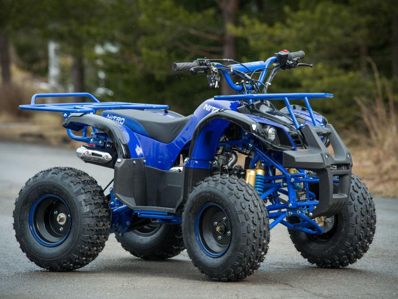 Atv 2019 New Toronto Nitro Motors Casca 