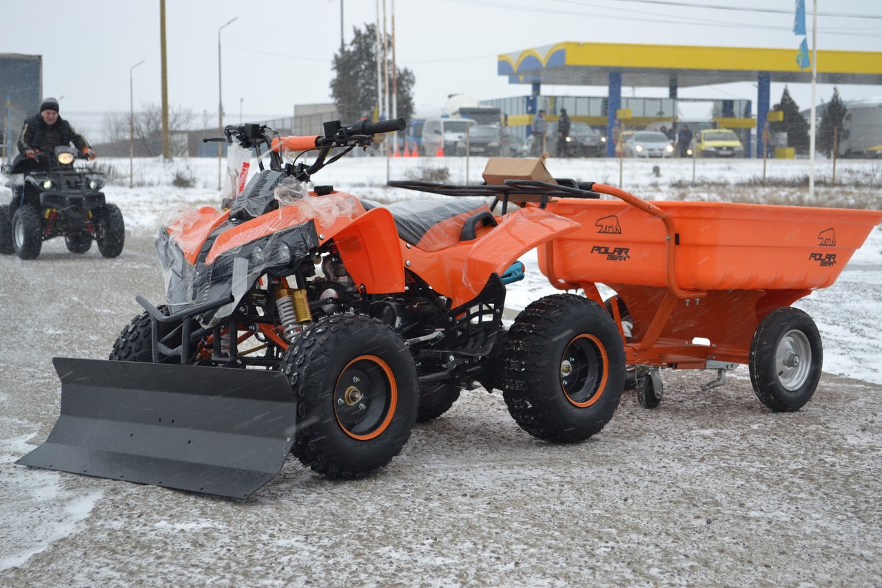 Quad ATV Smc Barossa 170 ccm in 74889 Sinsheim for €700.00 