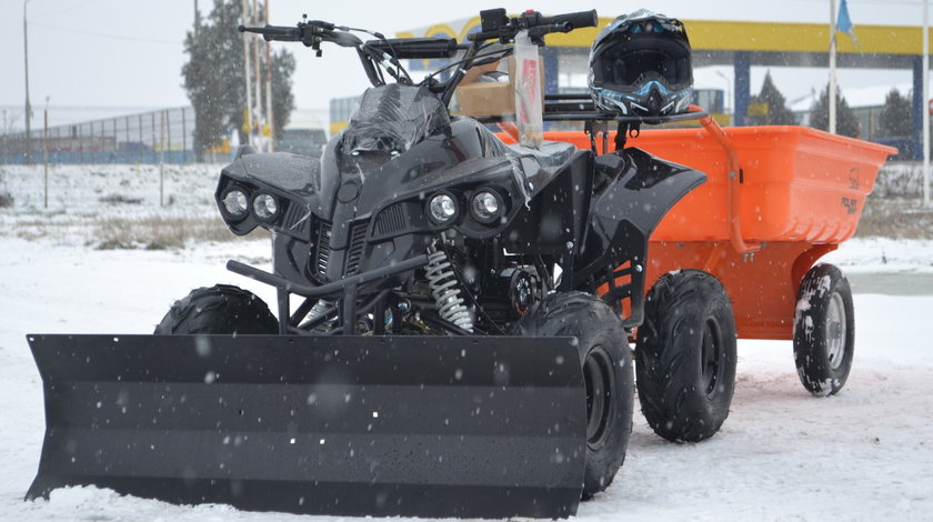 Atv Model:Warrior/Sporting-Quad 125cc