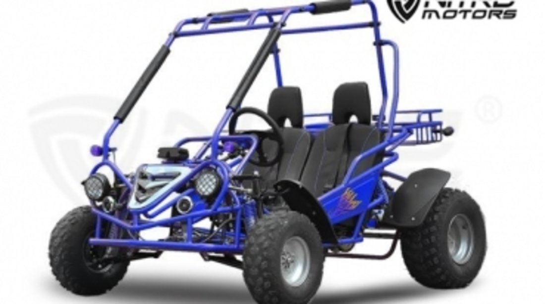 Nitro buggy hot sale