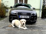 Audi A1 1.4 TFSI