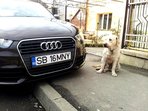 Audi A1 1.4 TFSI