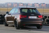 Audi A1 by Pogea Racing