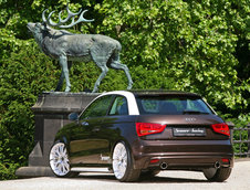 Audi A1 by Senner Tuning - Galerie Foto