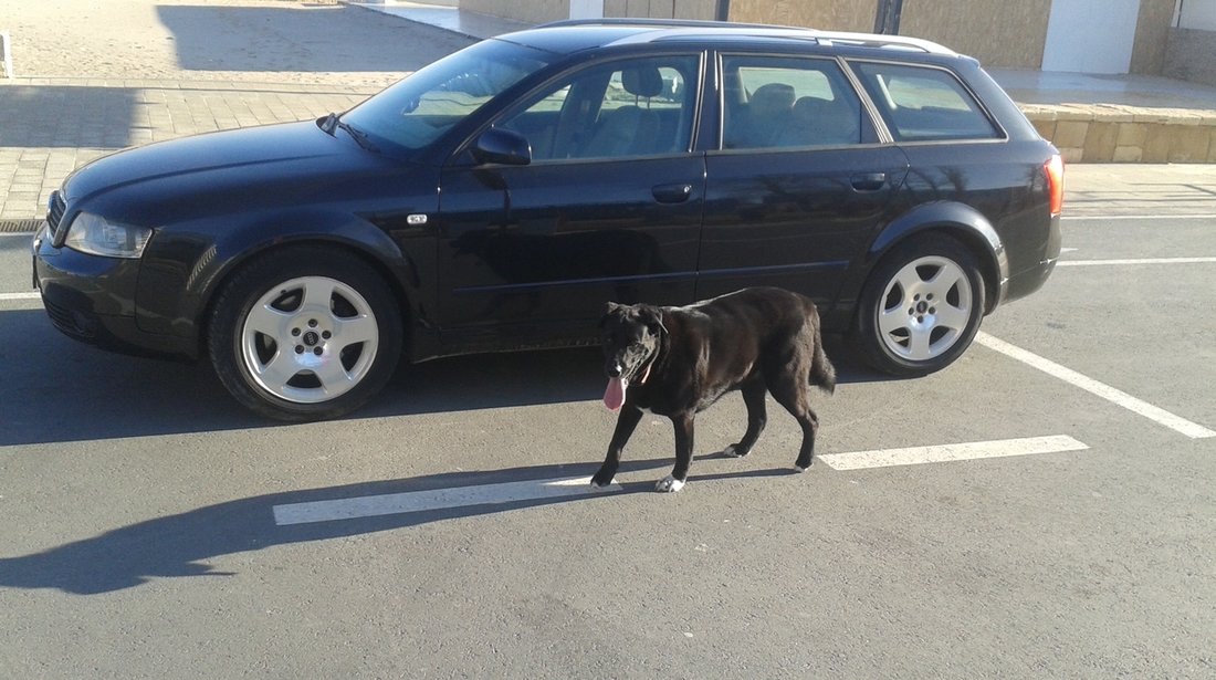 Audi A4 2.5 TDI 2004