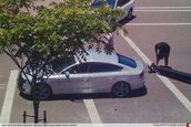 Audi A5 Sportback - Primele detalii oficiale