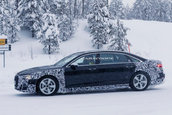 Audi A8 Horch - poze spion