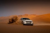 Audi E-tron - Galerie Foto