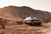 Audi E-tron - Galerie Foto