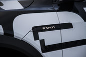 Audi e-tron prototype - Galerie Foto