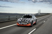 Audi e-tron prototype - Galerie Foto