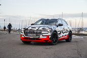 Audi e-tron prototype - Galerie Foto