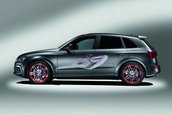 Audi Q5 Custom Concept - La Worthersee Tour 2009