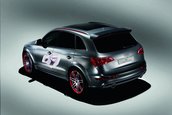 Audi Q5 Custom Concept - La Worthersee Tour 2009