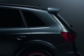 Audi Q5 Custom Concept - La Worthersee Tour 2009