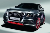 Audi Q5 Custom Concept - La Worthersee Tour 2009